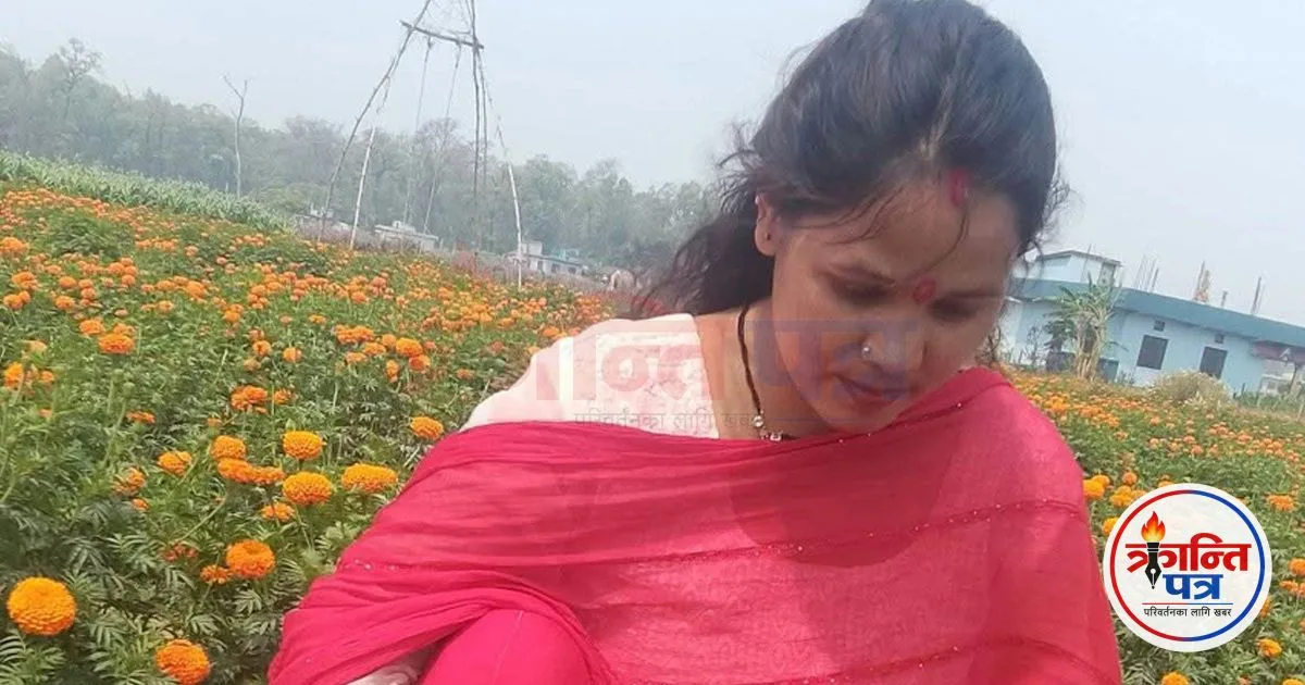 फूलखेतीबाट आत्मनिर्भरसँगै आम्दानी गर्दै धनगढीकी सुशीला